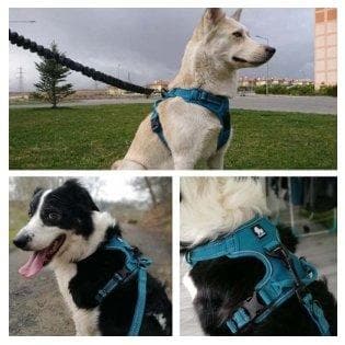 Dog Reflective Harness - Furwell Co™