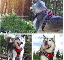 Load image into Gallery viewer, Dog Reflective Harness - Furwell Co™