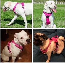 Load image into Gallery viewer, Dog Reflective Harness - Furwell Co™