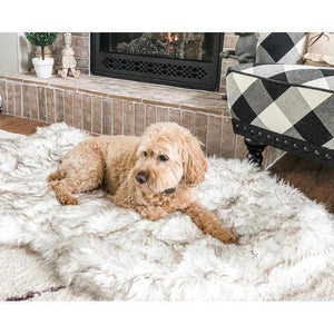 Furwell™ Orthopedic Pet Rug - Furwell Co™