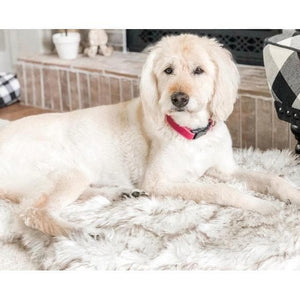 Furwell™ Orthopedic Pet Rug - Furwell Co™