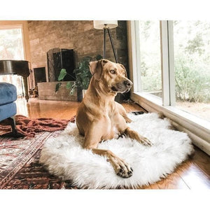 Furwell™ Orthopedic Pet Rug - Furwell Co™