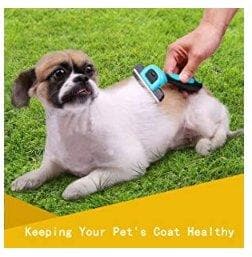 Pet Grooming Tool - Furwell Co™