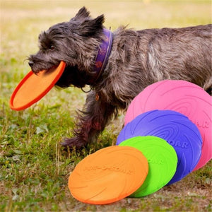 Silicone Frisbee