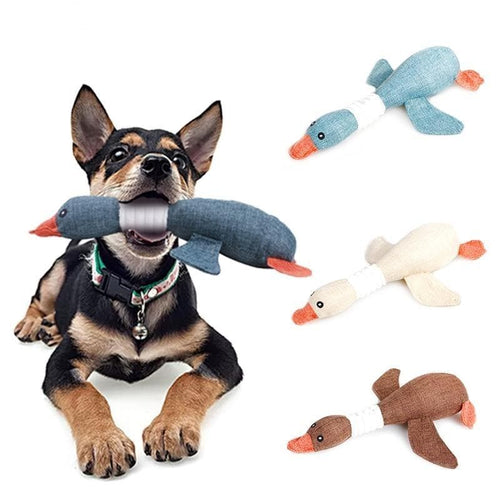 Squeaky Dog Toy