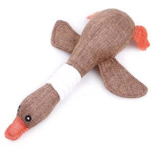 Squeaky Dog Toy