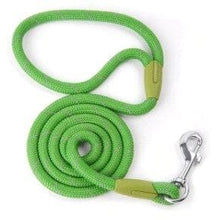 Load image into Gallery viewer, Reflective Nylon Dog Leash - Furwell Co™