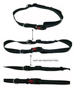 Running Elastic Leash - Furwell Co™