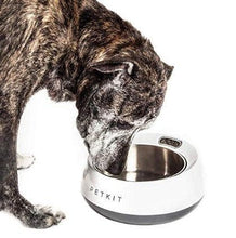 Load image into Gallery viewer, Smart Pet Food Bowl - Furwell Co™