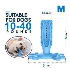 Toothpaste Chewing Dog Toy - Furwell Co™